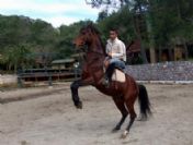 Marmaris'teki At Çiftlikleri Turistlerin Akınına Uğruyor