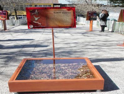 Şehitler İçin Anlamlı Sergi