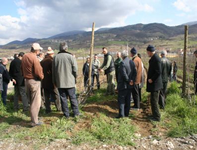 Devrek'te Fidan Budama Eğitimi