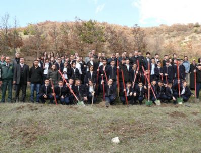 YAKUP YARDıMCı - Domaniçli Öğrencilerden Hatıra Ormanı