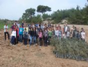 Genç Tema Topluluğu Fidan Dikti