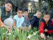 İbradı Kardelen Festivaline Doğru