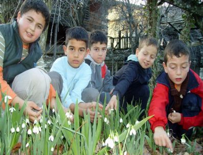 İbradı Kardelen Festivaline Doğru
