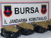 Ramiz'den 15 Kilogramlık Bingo