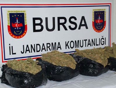 Ramiz'den 15 Kilogramlık Bingo