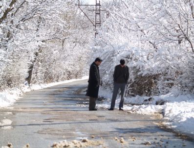 Gevaş'ta Kar Yağışı