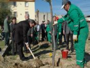 Milaslı Miniklerden Ağaçlandırma Çalışmalarına Destek