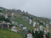 Ordu'da Yaylalar Beton Tehdidi Altında