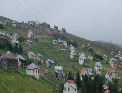 EDIZ SÜRÜCÜ - Ordu'da Yaylalar Beton Tehdidi Altında