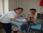 Aktoprak Hastalığı Tehdit Ediyor