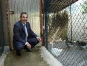 Beldibi'ne Butik Hayvanat Bahçesi