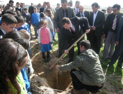 İBRAHIM BALLı - Ereğli'de Ağaçlandırma Seferberliği