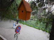 Kuşlara Toplu Konut