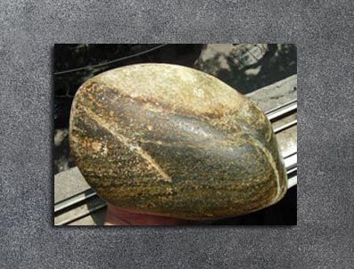 DINOZOR - Yılan fosilinde dinozor yumurtası bulundu