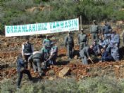 Dalaman'da Ağaç Dikme Bayramı