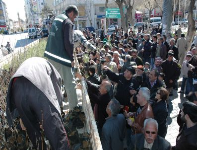 18 Aylık Torunuyla Fidan Dikti