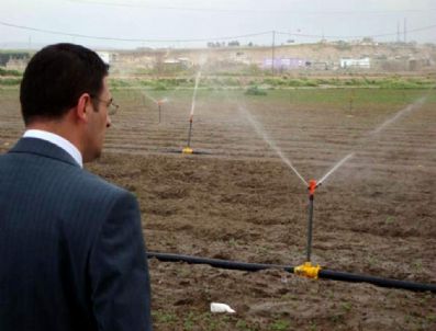 2,5 Milyon Fidan Projesinde Sulama Sistemleri Kuruldu