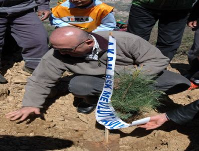 AVRUPA KONSEYI PARLAMENTERLER MECLISI - Nevruz'u Fidan Dikerek Kutladılar