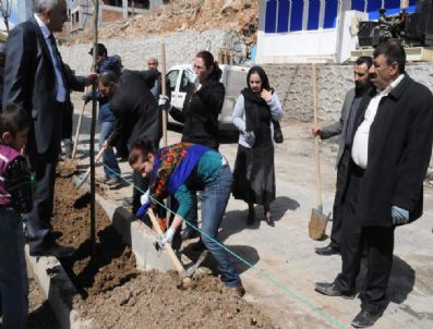 Şırnak'a 5 Bin Fidan Dikiliyor