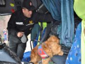 Tır'a Gizlenmiş 35 Kilogram Uyuşturucu Ele Geçirildi