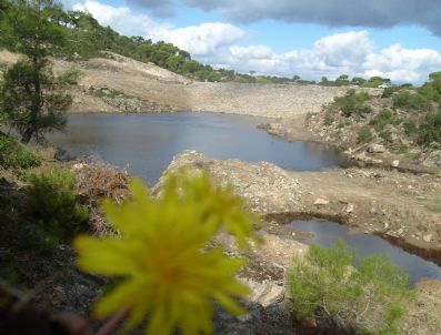 İNSANOĞLU - 21 Mart Dünya Ormancılık Günü ve Orman Haftası