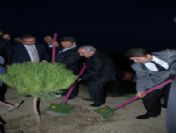 Ak Parti Hatıra Ormanının İlk Fidanları Toprakla Buluştu