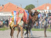 Develer Kupa İçin Güreşti