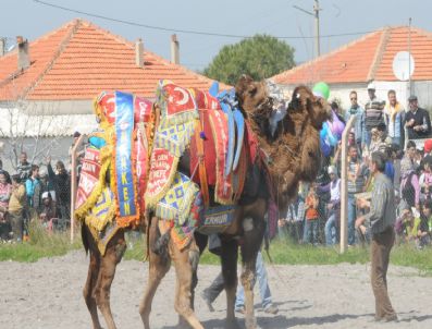 Develer Kupa İçin Güreşti