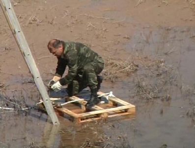 El Bombaları İncelemeye Alındı