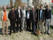 Erenler Belediyesi Meclis Üyesi Okul Bahçesine 100 Fidan Dikti