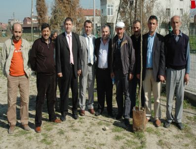 İBRAHIM GÜRBÜZ - Erenler Belediyesi Meclis Üyesi Okul Bahçesine 100 Fidan Dikti