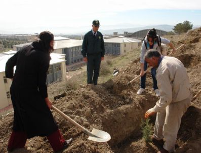 Fırat Üniversitesi Eğitim Fakültesi Öğrencileri Fidan Dikti