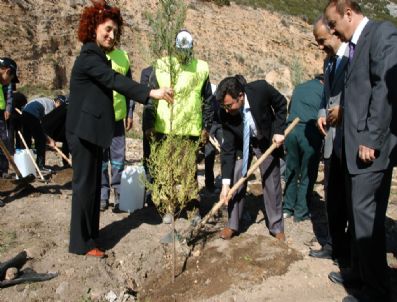 RECEP YÜKSEL - Muğla'da Ormancılık Günü Etkinlikleri Kapsamında Fidan Dikildi