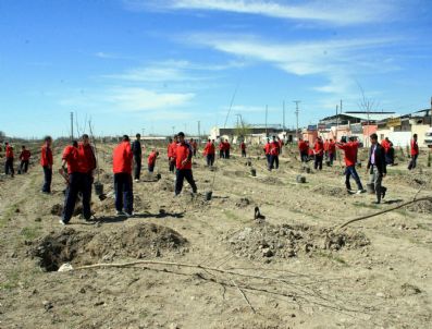 Niğde'de Ağaçlandırma Şöleni