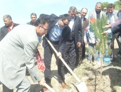 SERTEL OTÇU - Saruhanlı'da Fidan Dikim Töreni