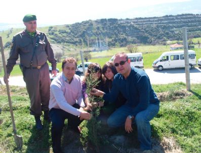 SELIM PALAMUT - Selendi'de Nevruz Bayramında Fidan Dikildi