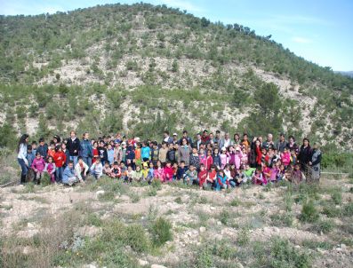 Yanan Ormanlar İçin Minik Eller İş Başında