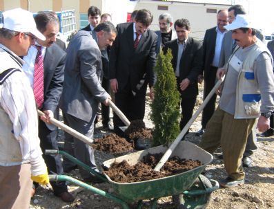 YAŞAR YAZıCı - Akyazı Devlet Hastanesi Çevresine Fidan Dikildi