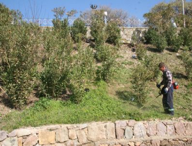 FIKRET AKOVA - Burhaniye'de Temizlik Timi İlçeyi Yaz Sezonuna Hazırlıyor