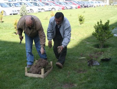 ÇEVRE VE ORMAN İL MÜDÜRLÜĞÜ - Çeşitli Suçlardan Ceza Alan 42 Kişiye Fidan Dikme Cezası