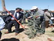 Musabeyli'de Ağaç Bayramı