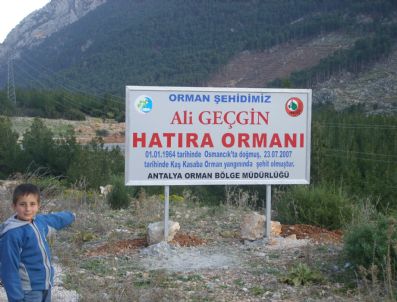 ALI BULUT - Ölen Orman İşçisinin Adı Yaşatılacak