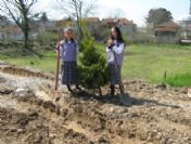 Pazarköy İlköğretim Okuluna Fidan Dikildi