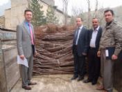 Şemdinli Kiraz Merkezi Olacak