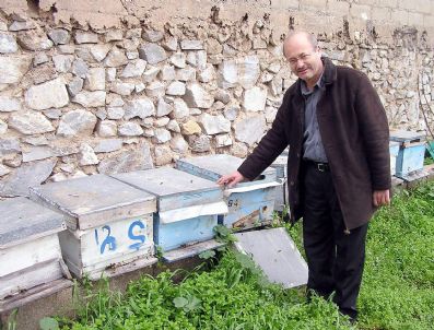 Türk Arıcılarının 35 Yıl Süren Bal Davası Tatlıya Bağlandı