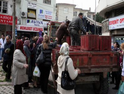Bin 500 Fidan 3 Dakikada Tükendi