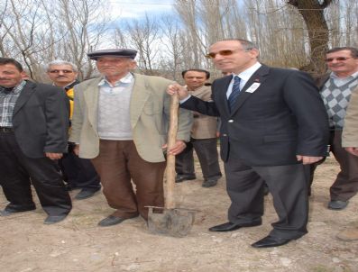 İBRAHIM ÖZÇIMEN - Kayaaltı Köyü'ne 500 Fidan Dikildi