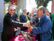 Nazilli Protokolünden Fidan Dağıtımı