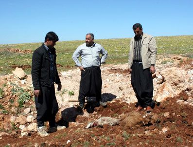 Şanlıurfa'da Kuduz Paniği