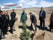 Tbmm Hatıra Ormanı Oluşturuldu